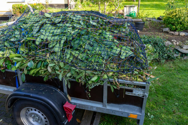 Best Mattress Disposal  in Wayne City, IL